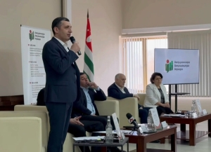 Ауаажәларратә Палатаҿы иаатит &laquo;Аполитикатә система ареформа &ndash; иҭышәынтәалоу  аҳәынҭқарра  иашьаҭоуп&raquo; ҳәа хыс измоу астол гьежь