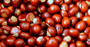 Аҟәа ахьа Амш азгәарҭоит