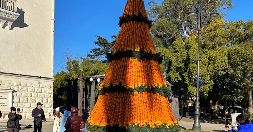 Ажьырныҳәамза  6-10 рзы Аҟәеи Тҟәарчали Ашықәс ҿыцазтәи афестиваль &laquo;Амандарина&raquo; мҩаԥгахоит