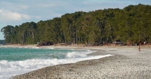 Пицундатәи амзара - 100  шықәса