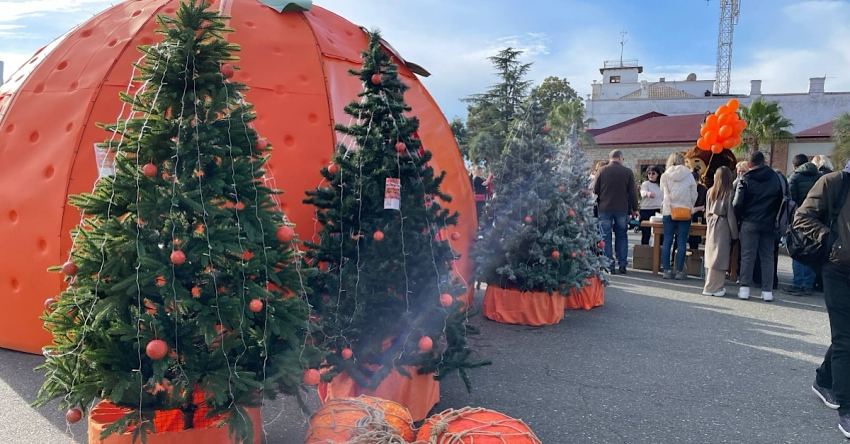 Аҟәа ихацыркхеит агастрофестиваль &laquo;Амандарин&raquo;