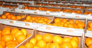 Гәылрыԥшь араион ахадара иҷыдоу арратә операциа алахәылацәеи Донбасс ауааԥсыраи рзы агуманитартә еидара дәықәнаҵеит