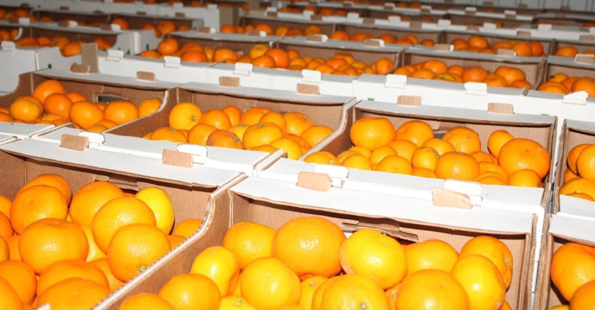 Гәылрыԥшь араион ахадара иҷыдоу арратә операциа алахәылацәеи Донбасс ауааԥсыраи рзы агуманитартә еидара дәықәнаҵеит