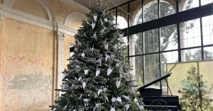 Аҟәа ақалақь аҿы ихацыркхеит ашықәс ҿыцтәи акциа &laquo;Ашанаҵла&raquo;