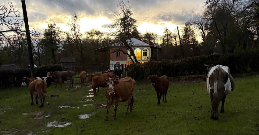 Ақыҭа &ndash; иацы, иахьа&hellip;